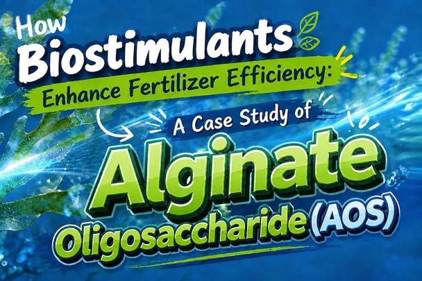 China Fertilizer Additive Recommendations for Enhanced Crop Performance