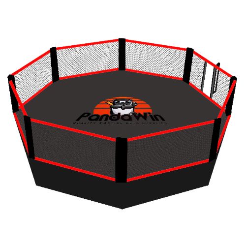 China Octagonal Cage Fighting Is Taking the Martial Arts World by Storm