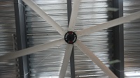 7.3M Giant Fans Company: Leading High-Volume Air Movement Innovation